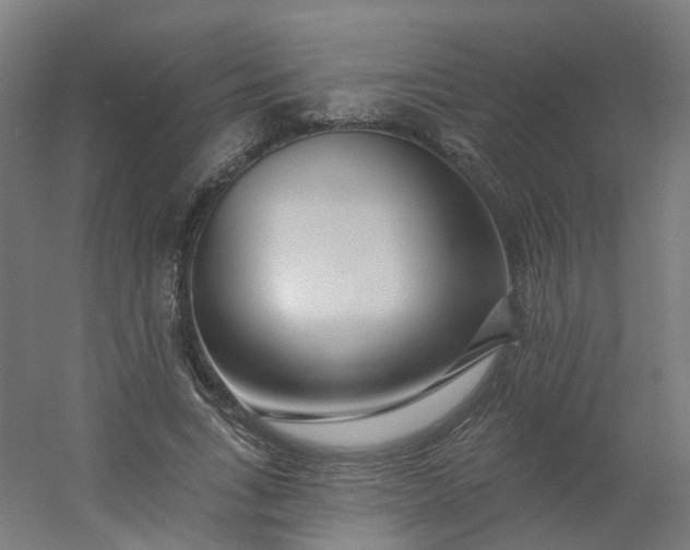 X0000054380735200508121606