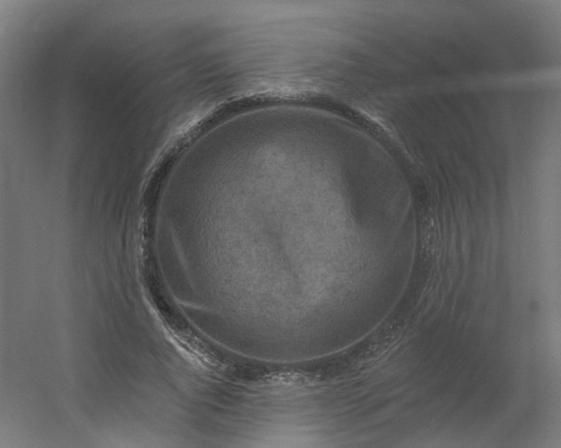 X0000054380736200508121606
