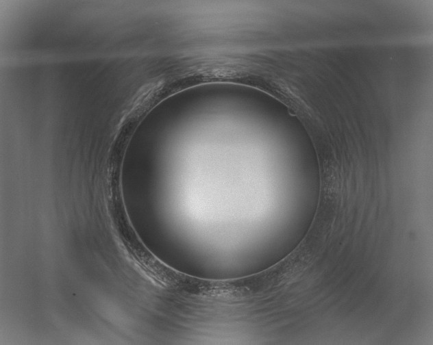 X0000054380738200508121606