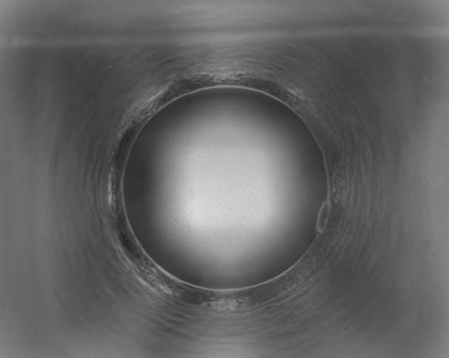 X0000054380740200508121606