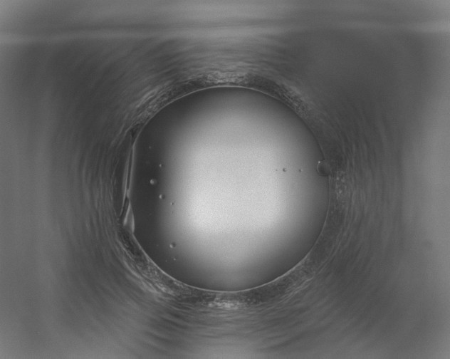 X0000054380741200508121606