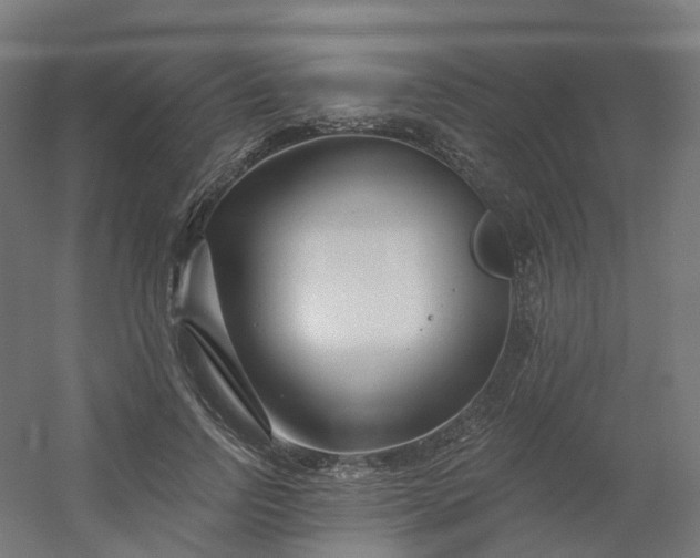 X0000054380742200508121606