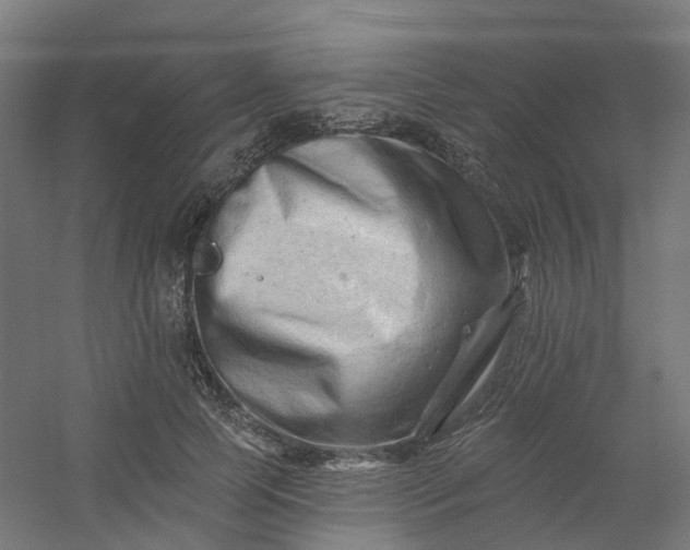 X0000054380745200508121606