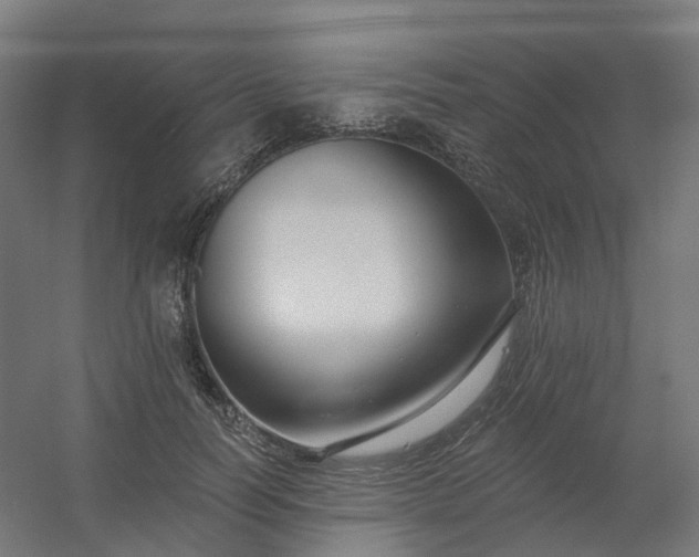 X0000054380746200508121606