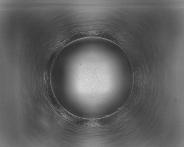 X0000054380747200508121606