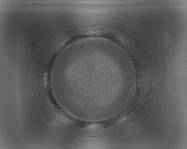 X0000054380748200508121606