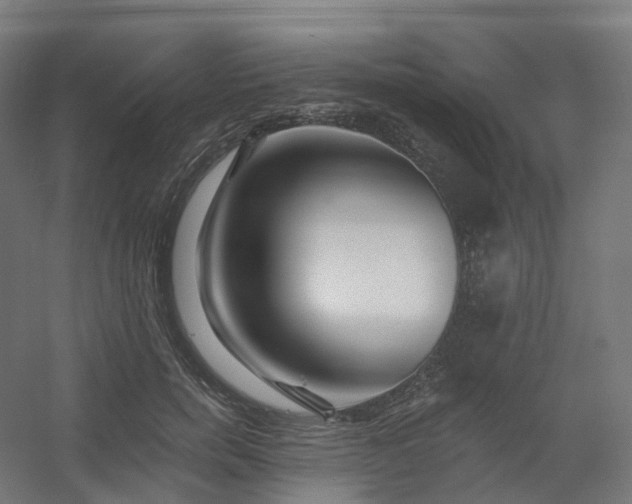 X0000054380750200508121606