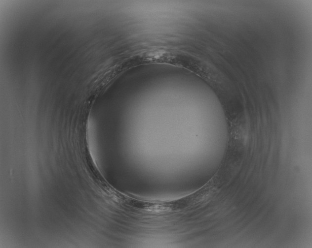 X0000054380754200508121606
