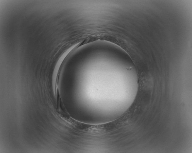 X0000054380756200508121606