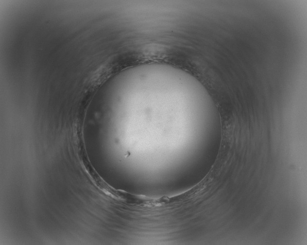 X0000054380757200508121606
