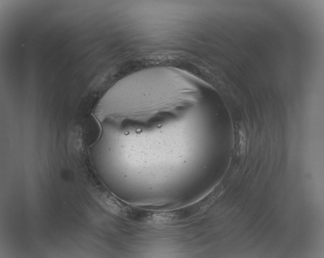 X0000054380758200508121606