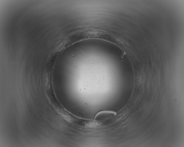 X0000054380759200508121606