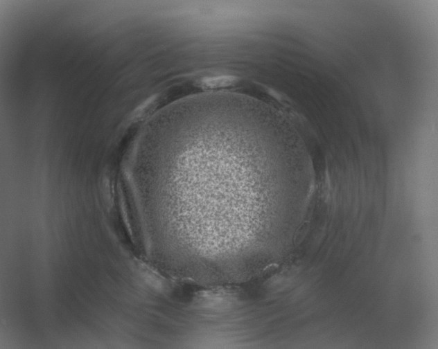 X0000054380763200508121606