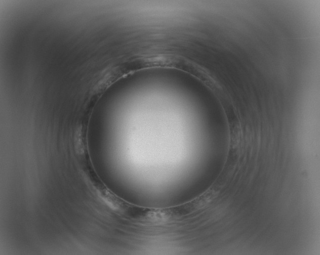 X0000054380764200508121606