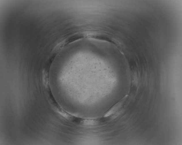 X0000054380766200508121606