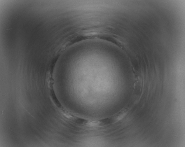 X0000054380767200508121606