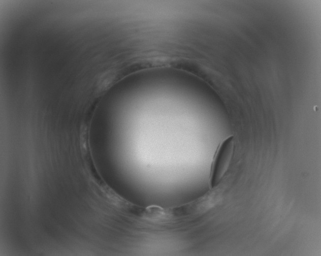 X0000054380768200508121606