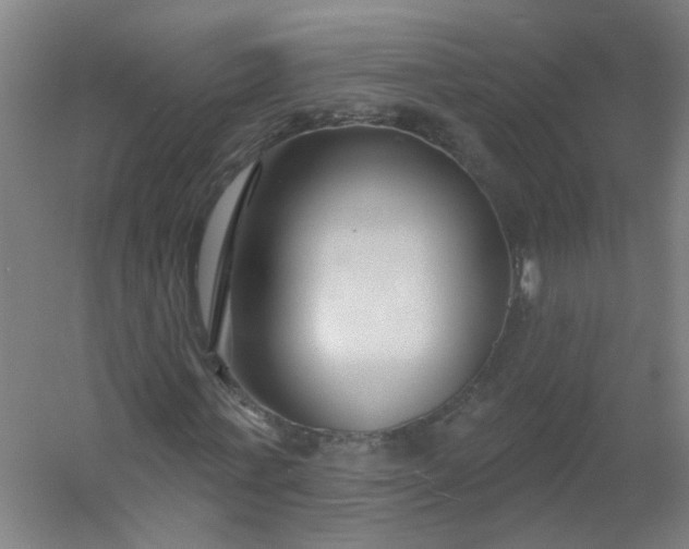 X0000054380771200508121605