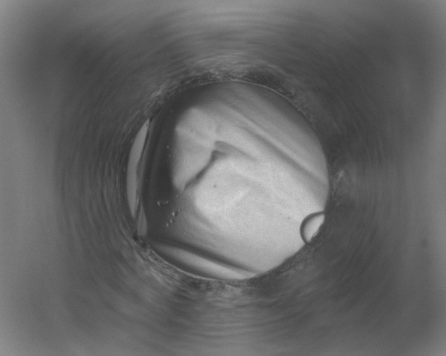 X0000054380772200508121605