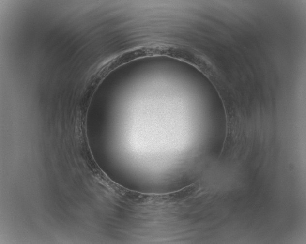 X0000054380773200508121605