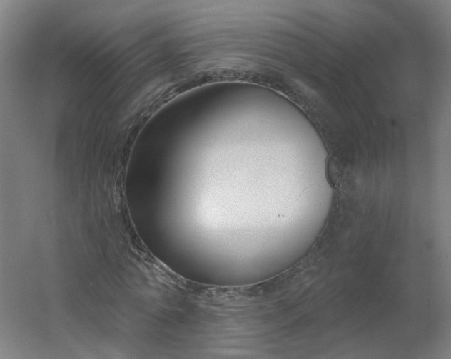 X0000054380774200508121605