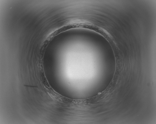 X0000054380775200508121605