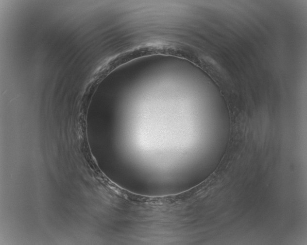 X0000054380776200508121605