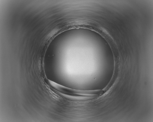 X0000054380777200508121605