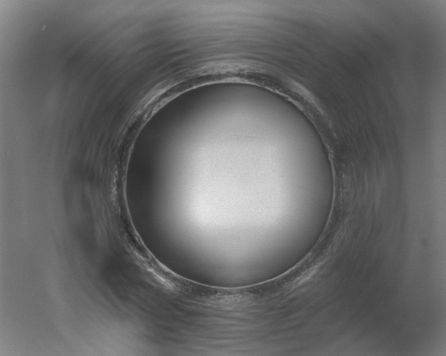 X0000054380778200508121605