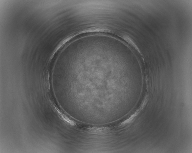 X0000054380781200508121605