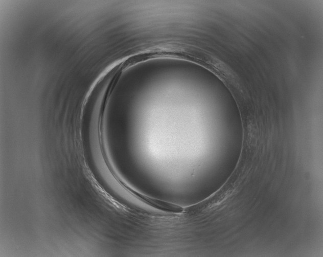 X0000054380784200508121605