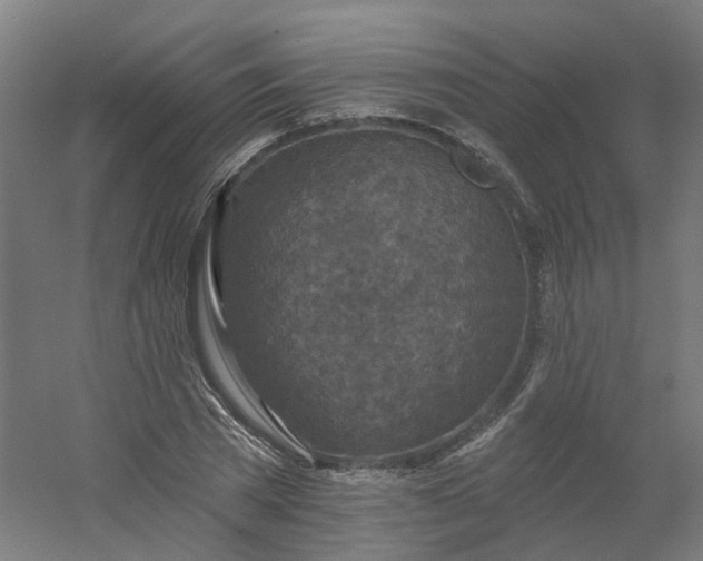 X0000054380785200508121605