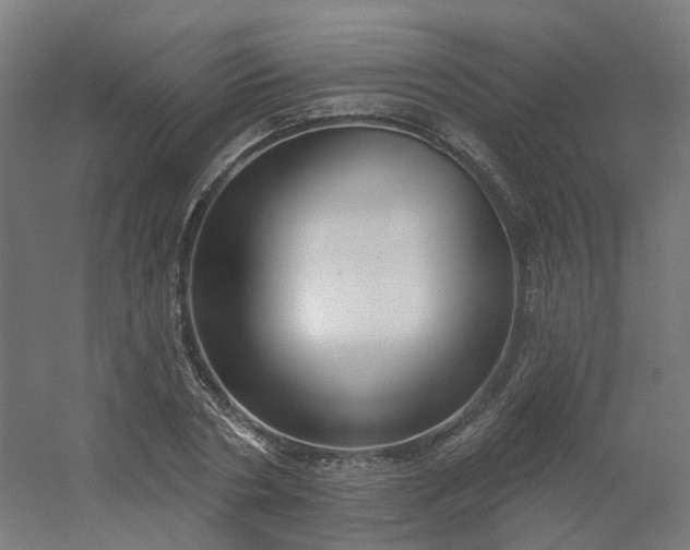 X0000054380786200508121605