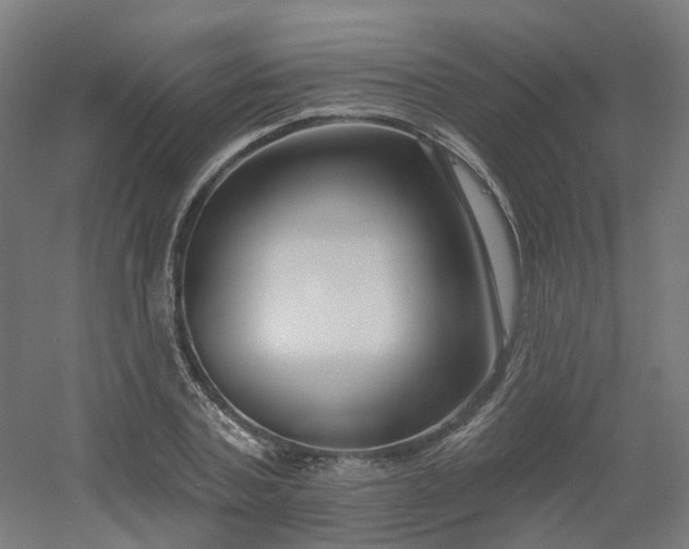 X0000054380787200508121605