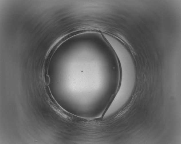 X0000054380788200508121605