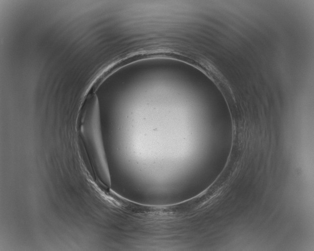 X0000054380789200508121605