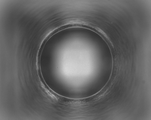 X0000054380791200508121605