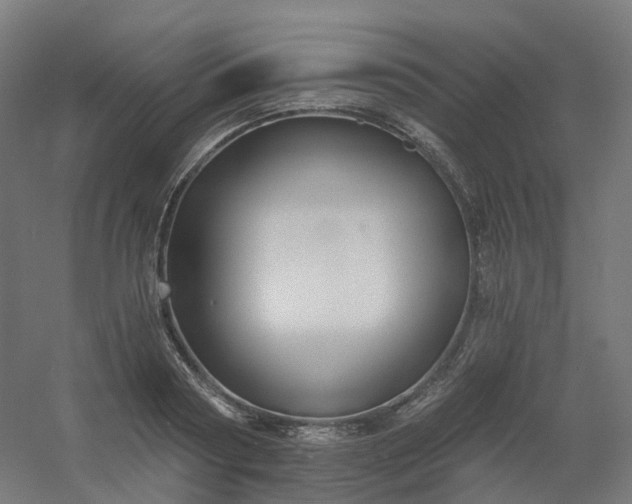 X0000054380794200508121605