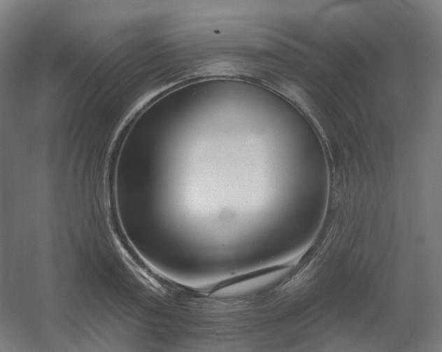 X0000054380795200508121605