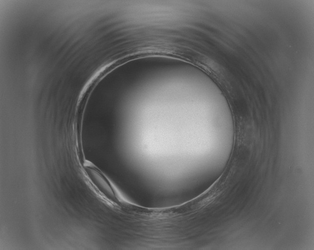 X0000054380796200508121605