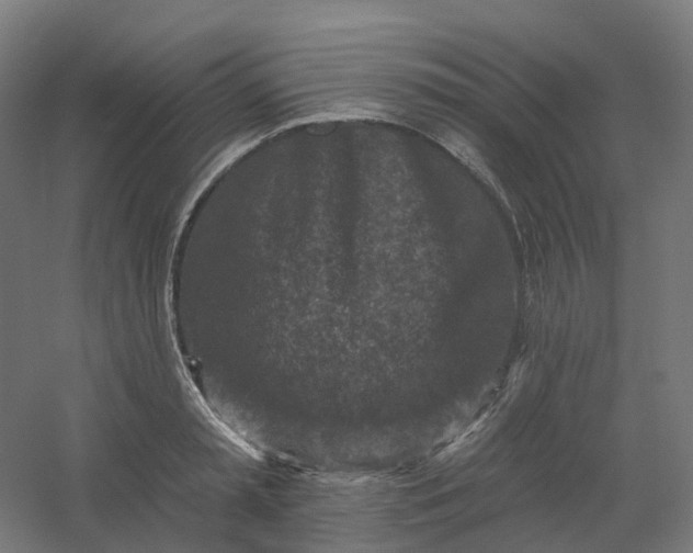 X0000054380797200508121605