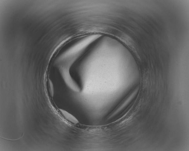 X0000054380798200508121605