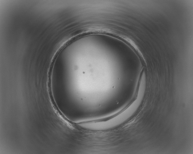 X0000054380799200508121605