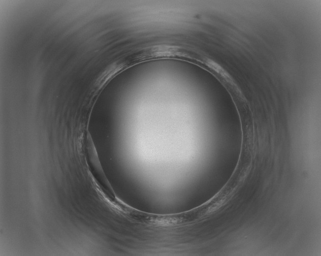 X0000054380801200508121605