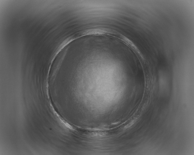 X0000054380802200508121605
