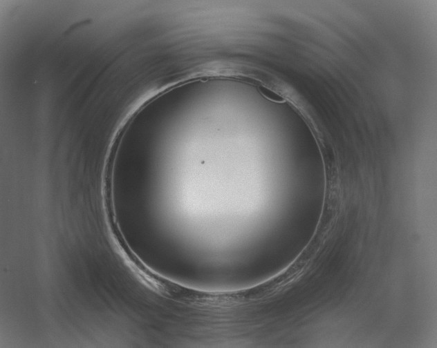 X0000054380803200508121605