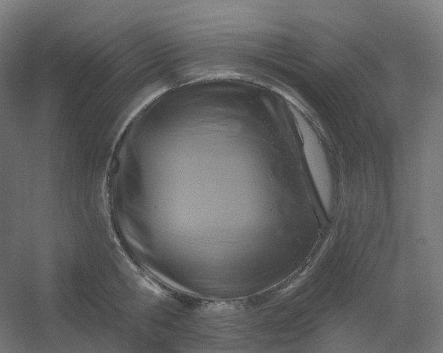 X0000054380806200508121605