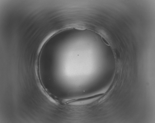 X0000054380812200508121605