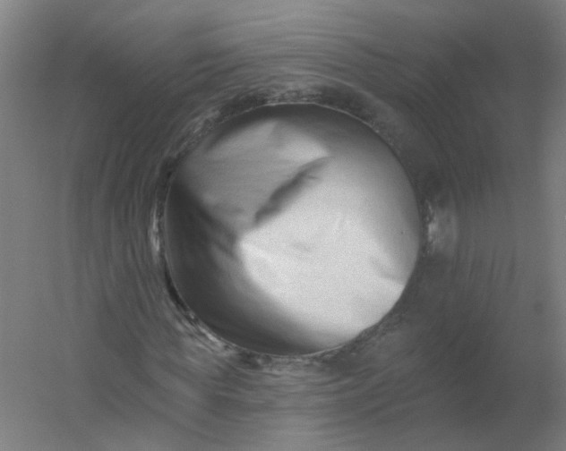 X0000054380819200508121604