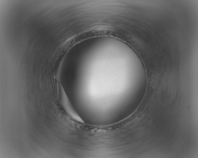 X0000054380821200508121604